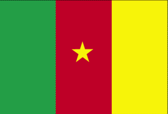 Flag of Cameroon