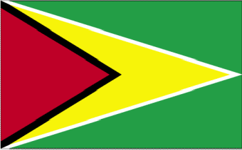 Guyana Flag