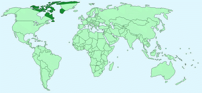 Distribution of Arctic Hares