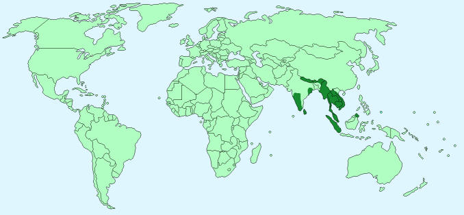 Asian Elephant world distribution map