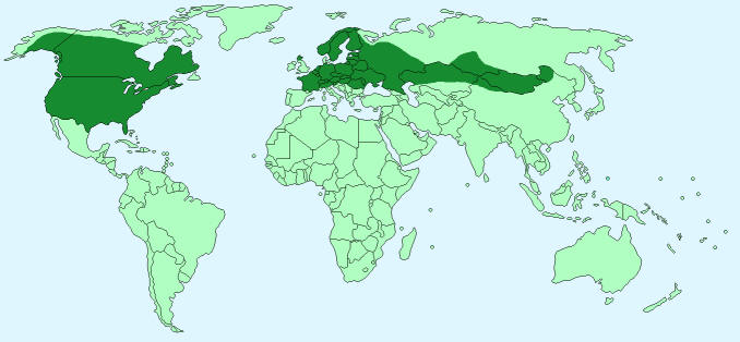 Beaver distribution world map