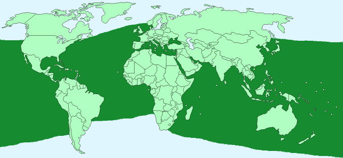 Bottlenose Dolphins distribution on World Map