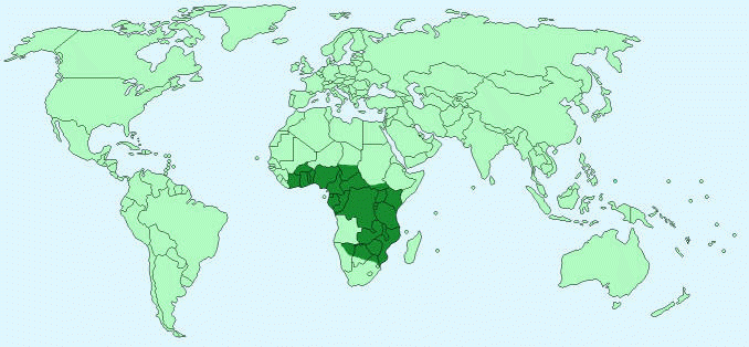 Distribution of African Elephants
