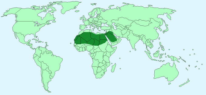 Fennec Fox distribution on World Map