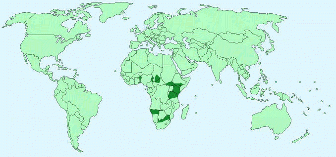 location of giraffes on world map
