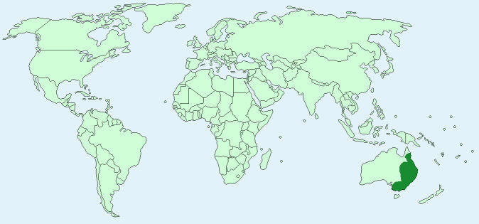 African lions distribution on World Map