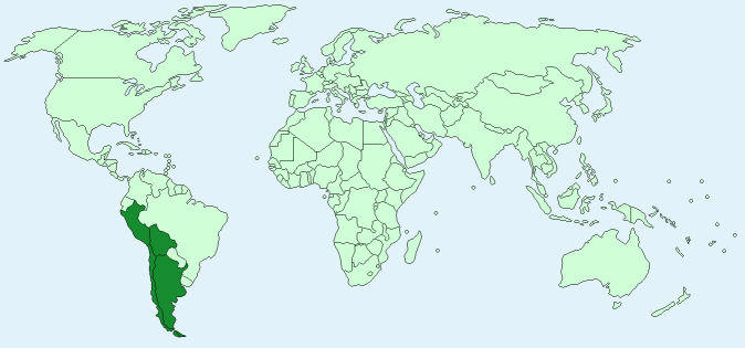 Llamas distribution on World Map