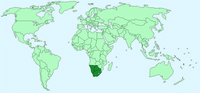 Distribution of Meerkats on world map