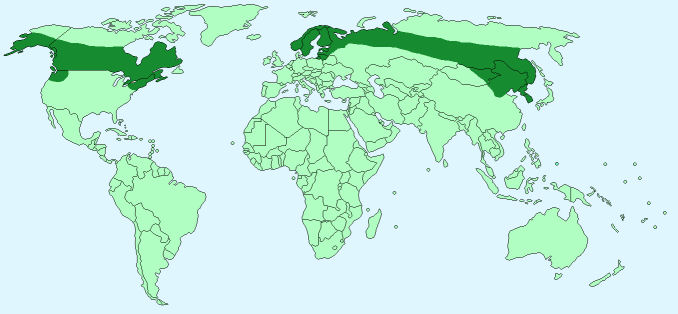 moose and elk distribution on World Map