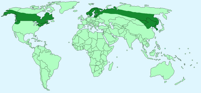 Map Of Where Moose Live