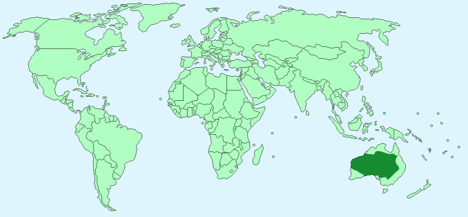 Red Kangaroos distribution on World Map
