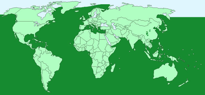 Distribution of sperm whales