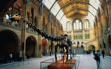 Larger Dinosaur Skeleton