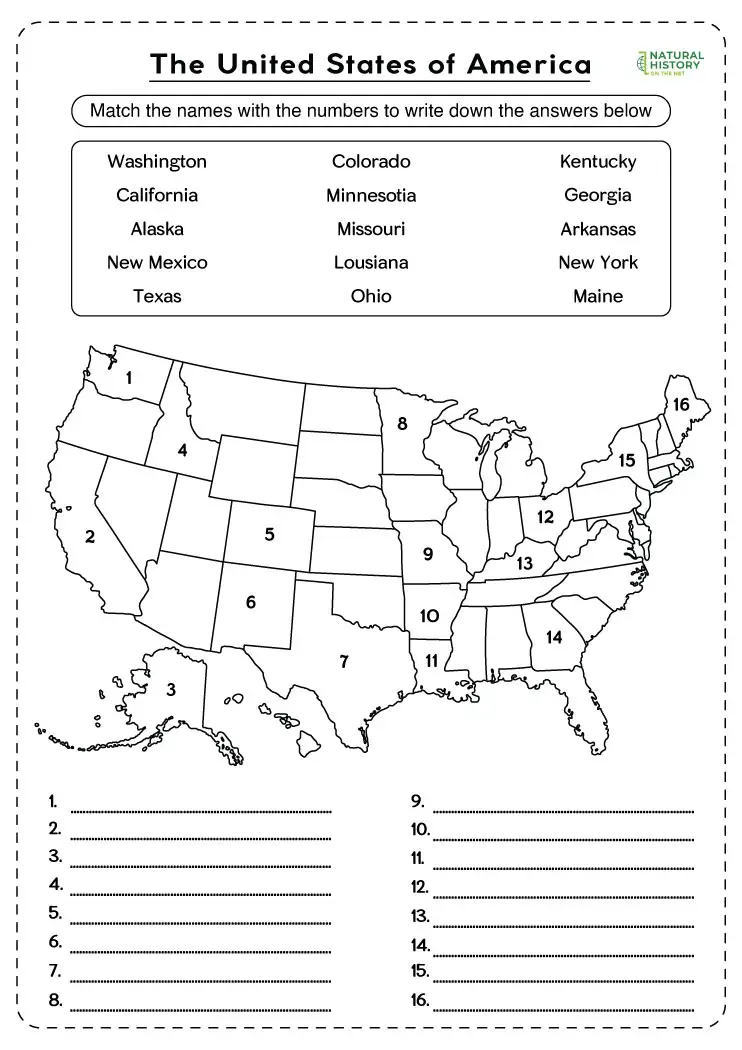 Free Printable Blank Map of the United States Worksheets